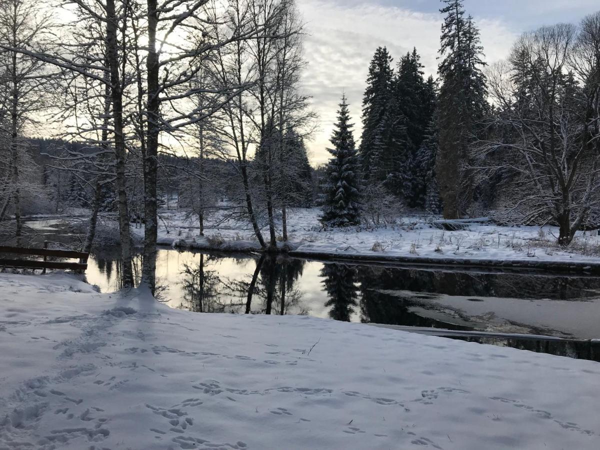 Apartman 12 Stožec Exteriör bild
