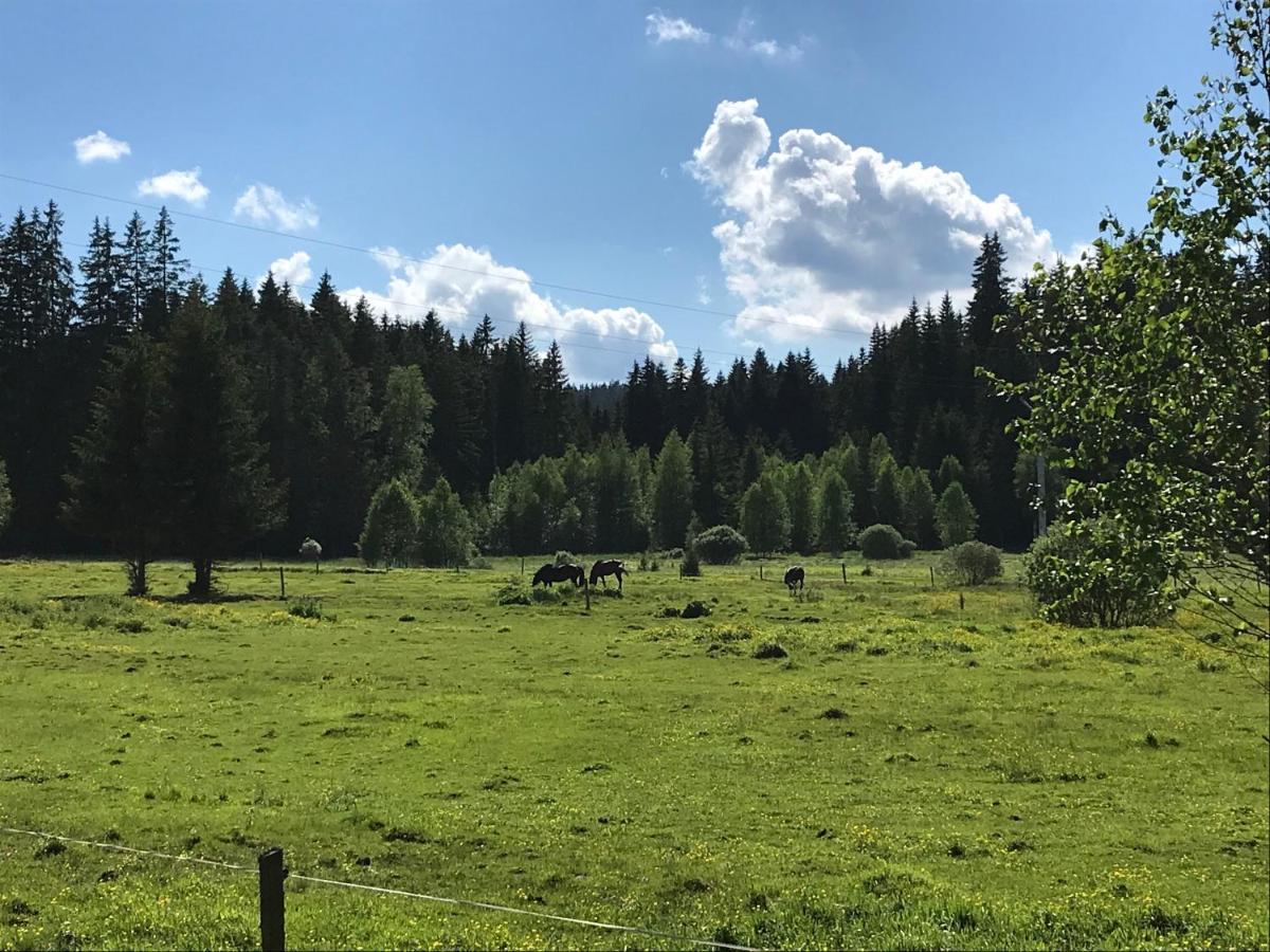 Apartman 12 Stožec Exteriör bild